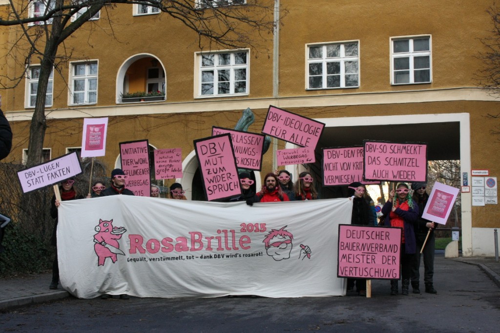 2015-01-15-rosabrille2